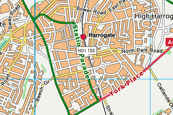HG1 1SS map - OS VectorMap District (Ordnance Survey)