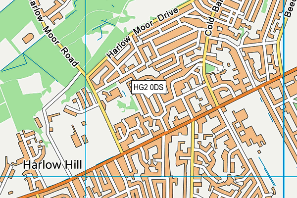 HG2 0DS map - OS VectorMap District (Ordnance Survey)