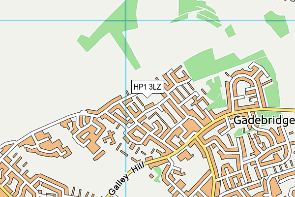HP1 3LZ map - OS VectorMap District (Ordnance Survey)