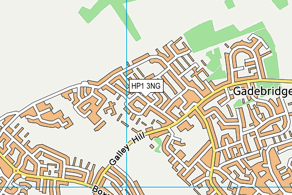 HP1 3NG map - OS VectorMap District (Ordnance Survey)