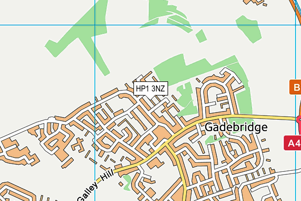 HP1 3NZ map - OS VectorMap District (Ordnance Survey)