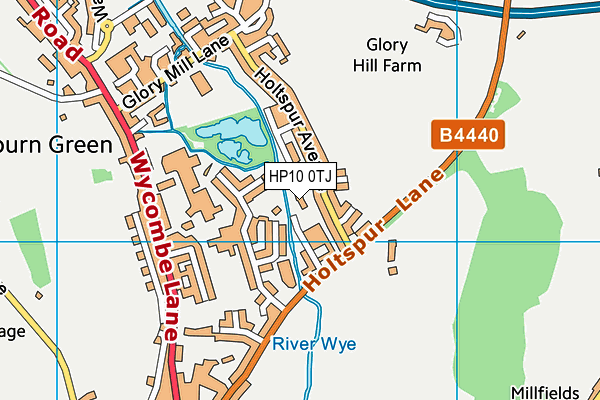 HP10 0TJ map - OS VectorMap District (Ordnance Survey)