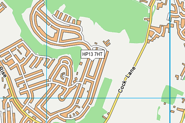 Ash Hill Primary School map (HP13 7HT) - OS VectorMap District (Ordnance Survey)