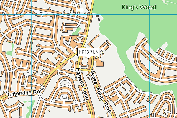 Kings Wood School and Nursery map (HP13 7UN) - OS VectorMap District (Ordnance Survey)