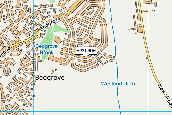 HP21 9DH map - OS VectorMap District (Ordnance Survey)