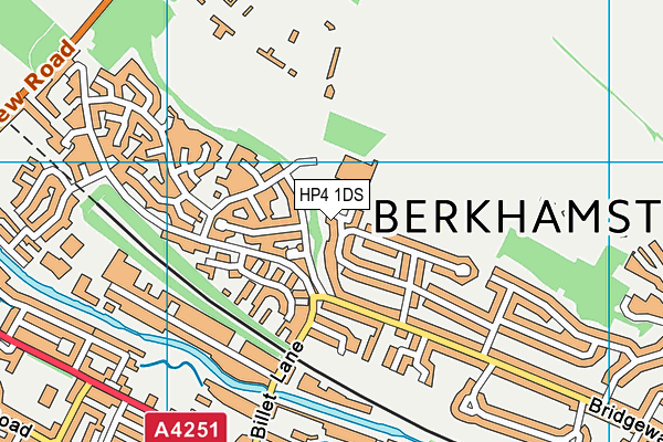 HP4 1DS map - OS VectorMap District (Ordnance Survey)