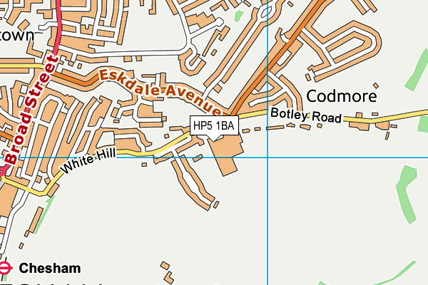 Chesham Grammar School map (HP5 1BA) - OS VectorMap District (Ordnance Survey)