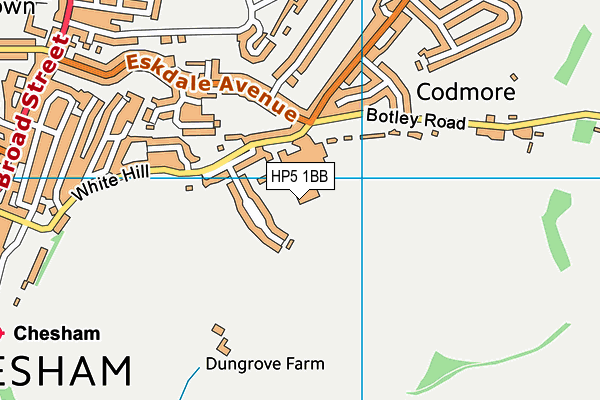 Chesham Leisure Centre map (HP5 1BB) - OS VectorMap District (Ordnance Survey)