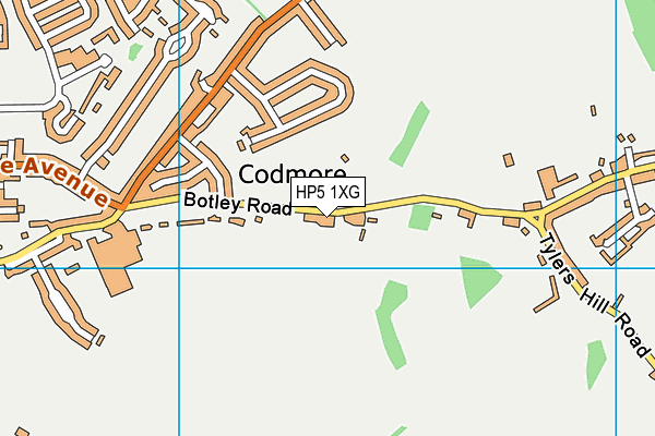 Codmore Field map (HP5 1XG) - OS VectorMap District (Ordnance Survey)