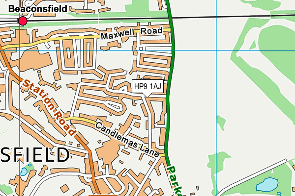 HP9 1AJ map - OS VectorMap District (Ordnance Survey)