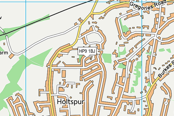 HP9 1BJ map - OS VectorMap District (Ordnance Survey)