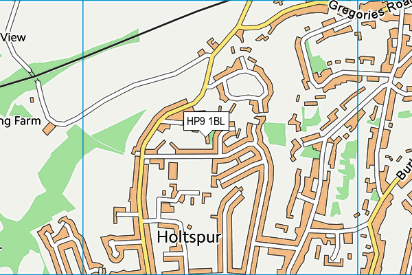 HP9 1BL map - OS VectorMap District (Ordnance Survey)