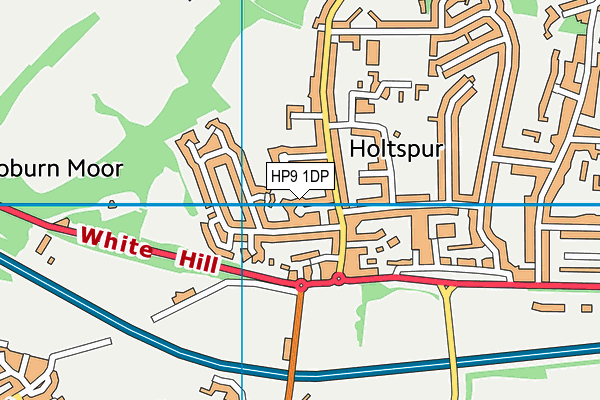 HP9 1DP map - OS VectorMap District (Ordnance Survey)