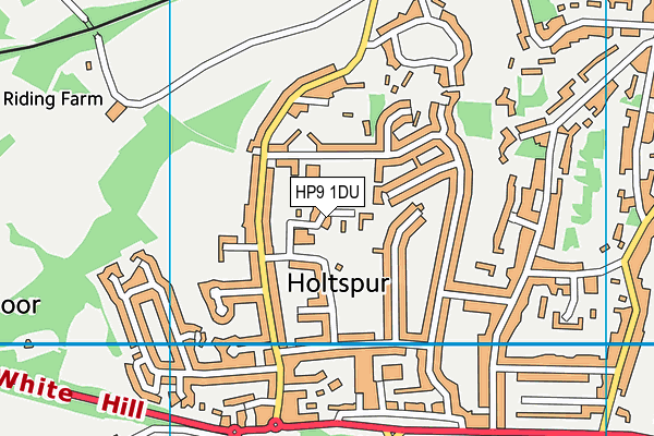 HP9 1DU map - OS VectorMap District (Ordnance Survey)