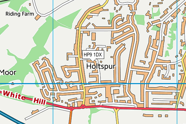 HP9 1DX map - OS VectorMap District (Ordnance Survey)