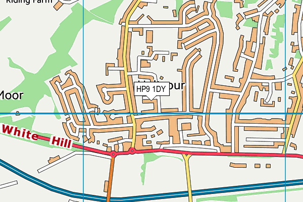 HP9 1DY map - OS VectorMap District (Ordnance Survey)