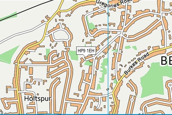 HP9 1EH map - OS VectorMap District (Ordnance Survey)