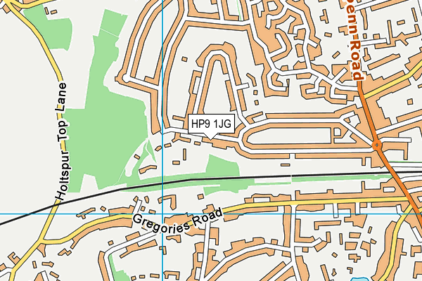 HP9 1JG map - OS VectorMap District (Ordnance Survey)