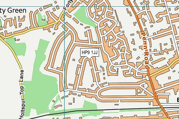 HP9 1JJ map - OS VectorMap District (Ordnance Survey)