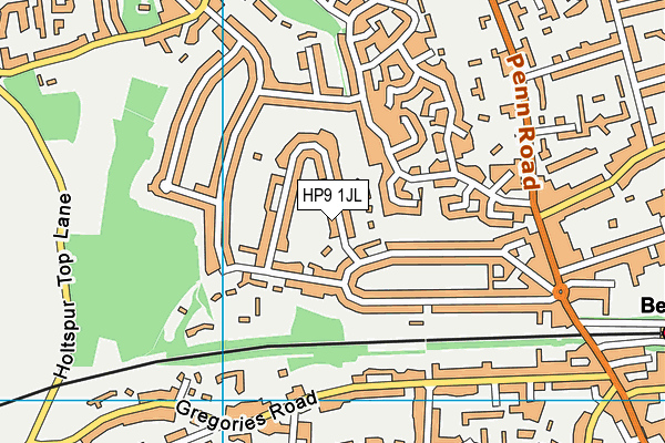 HP9 1JL map - OS VectorMap District (Ordnance Survey)