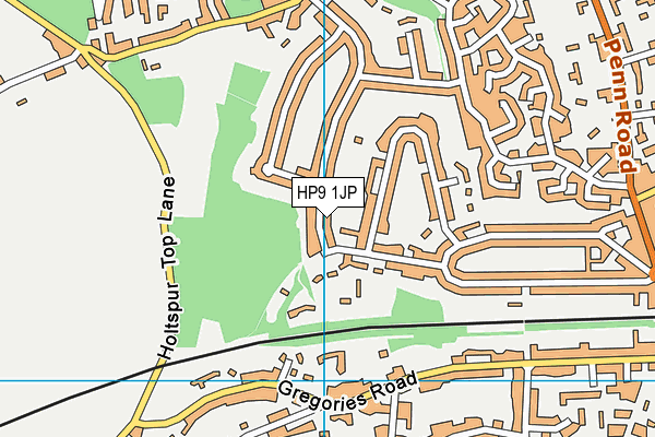 HP9 1JP map - OS VectorMap District (Ordnance Survey)