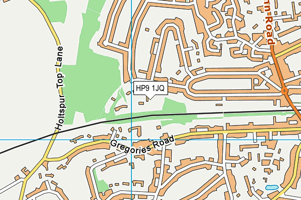 HP9 1JQ map - OS VectorMap District (Ordnance Survey)