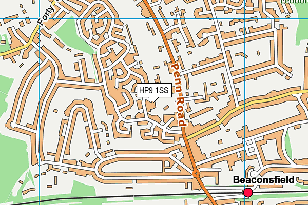 HP9 1SS map - OS VectorMap District (Ordnance Survey)