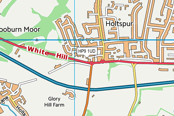 HP9 1UD map - OS VectorMap District (Ordnance Survey)