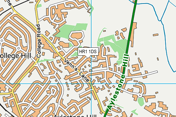 HR1 1DS map - OS VectorMap District (Ordnance Survey)