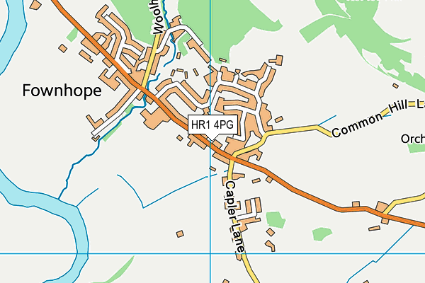 St Mary's CofE Primary School map (HR1 4PG) - OS VectorMap District (Ordnance Survey)