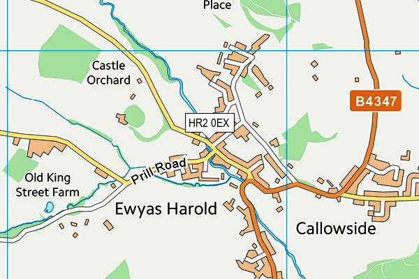 Ewyas Harold Recreation Ground map (HR2 0EX) - OS VectorMap District (Ordnance Survey)