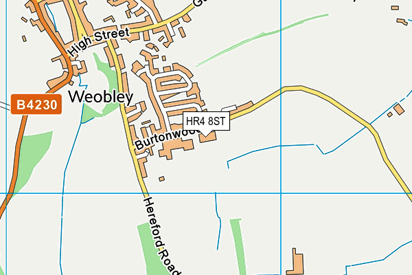 Weobley Primary School map (HR4 8ST) - OS VectorMap District (Ordnance Survey)