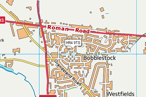 HR4 9TS map - OS VectorMap District (Ordnance Survey)