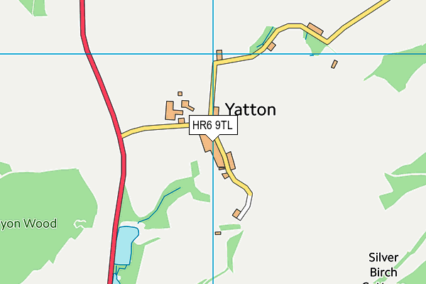 HR6 9TL map - OS VectorMap District (Ordnance Survey)
