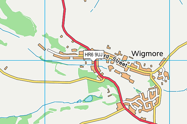 HR6 9UJ map - OS VectorMap District (Ordnance Survey)