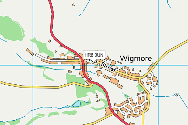 Wigmore Primary School map (HR6 9UN) - OS VectorMap District (Ordnance Survey)