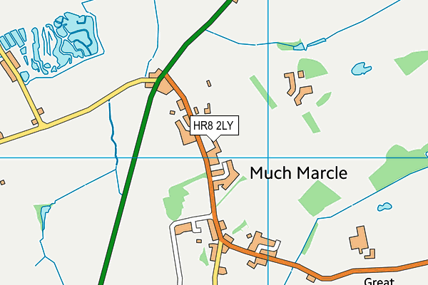 Much Marcle CofE Primary School map (HR8 2LY) - OS VectorMap District (Ordnance Survey)