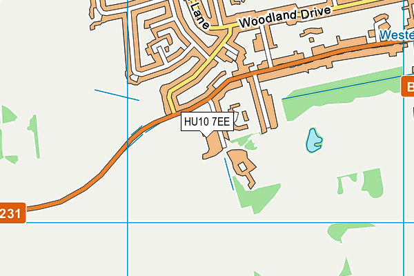 HU10 7EE map - OS VectorMap District (Ordnance Survey)