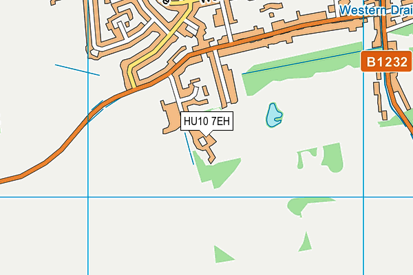 Hull Collegiate School map (HU10 7EH) - OS VectorMap District (Ordnance Survey)