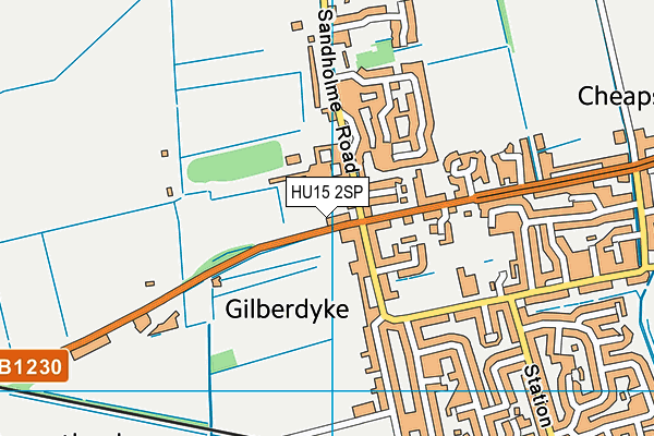 Ings View Sports Field map (HU15 2SP) - OS VectorMap District (Ordnance Survey)