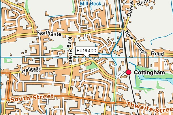 Hallgate Primary School map (HU16 4DD) - OS VectorMap District (Ordnance Survey)