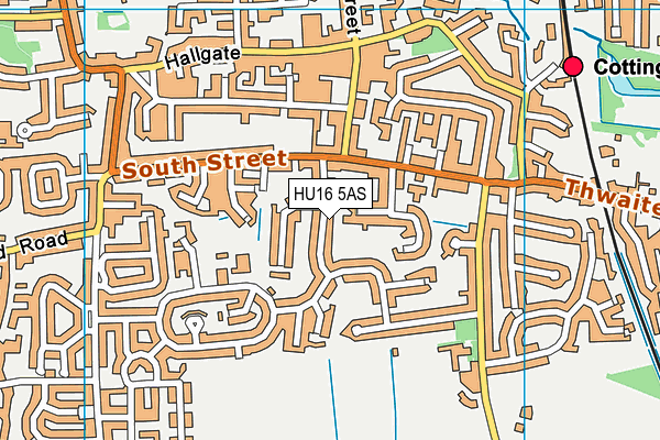 HU16 5AS map - OS VectorMap District (Ordnance Survey)