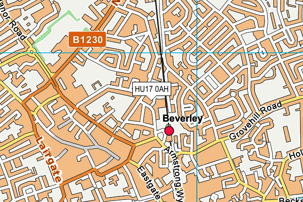 HU17 0AH map - OS VectorMap District (Ordnance Survey)