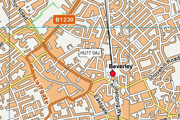 HU17 0AJ map - OS VectorMap District (Ordnance Survey)