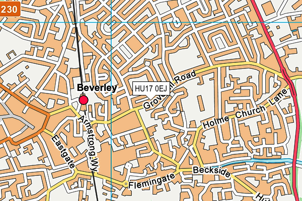 HU17 0EJ map - OS VectorMap District (Ordnance Survey)