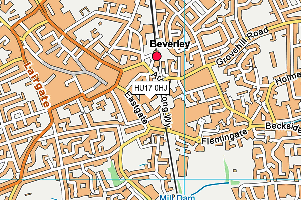 HU17 0HJ map - OS VectorMap District (Ordnance Survey)