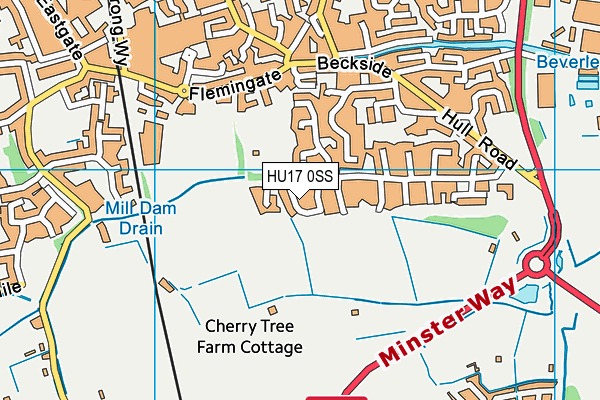 HU17 0SS map - OS VectorMap District (Ordnance Survey)