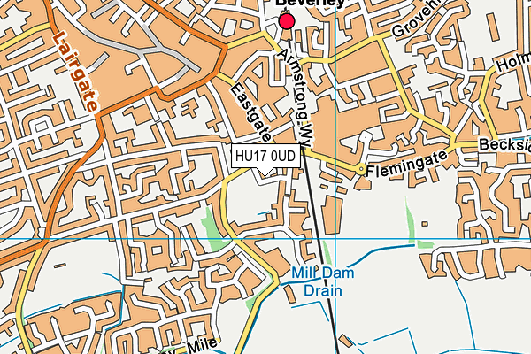HU17 0UD map - OS VectorMap District (Ordnance Survey)