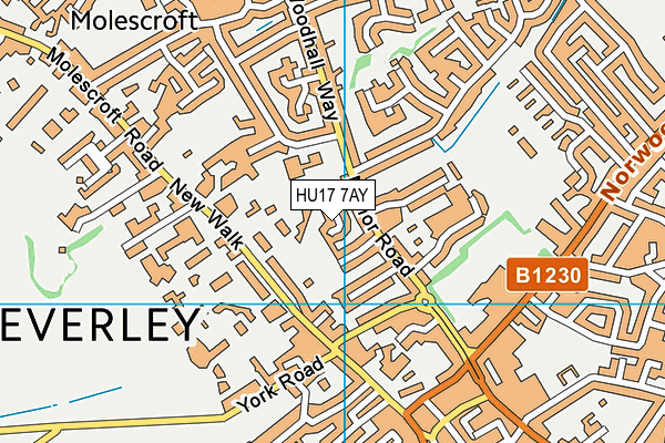 HU17 7AY map - OS VectorMap District (Ordnance Survey)