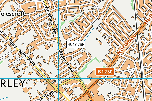 HU17 7BP map - OS VectorMap District (Ordnance Survey)